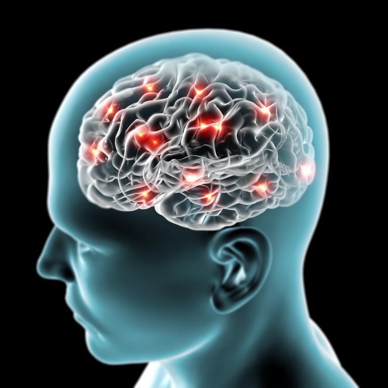 Est-il possible de trouver un nouveau traitement pour prévenir la paralysie cérébrale ?