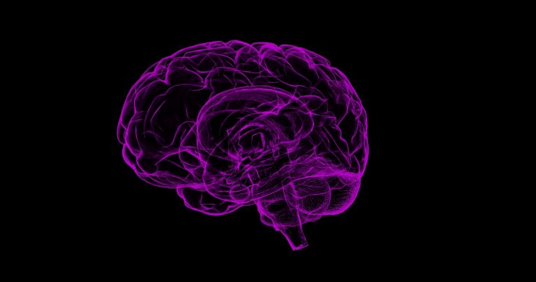 Epilepsie : Un nouvel objet connecté permet de prédire l’arrivée des crises.