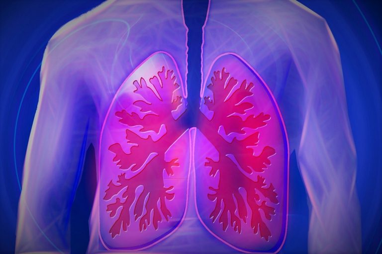 Un système alvéolaire modèle imite l’action respiratoire des poumons humains