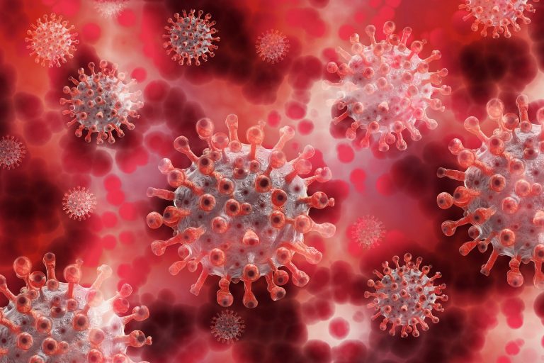 Coronavirus: une autre voie thérapeutique pour prévenir les infections