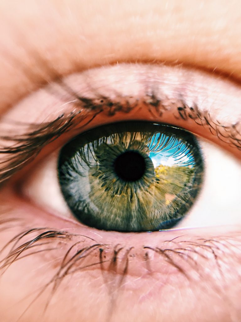 Reconstruction numérique des tissus oculaires : est-ce possible ?