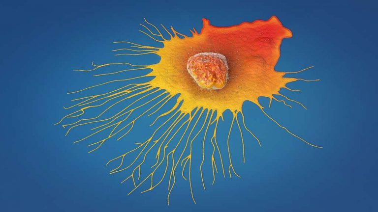 Cancer : immunothérapie et vaccins aux nanoparticules ?