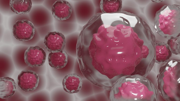 Les scientifiques ciblent l’interface critique essentielle à la survie des cellules cancéreuses