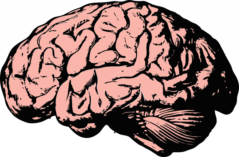 Quel est le rapport entre le métabolisme et les mesures cérébrales liées à la démence ?
