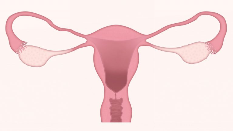 Quel rapport entre l’hypothyroïdie et la réserve ovarienne d’une femme ?