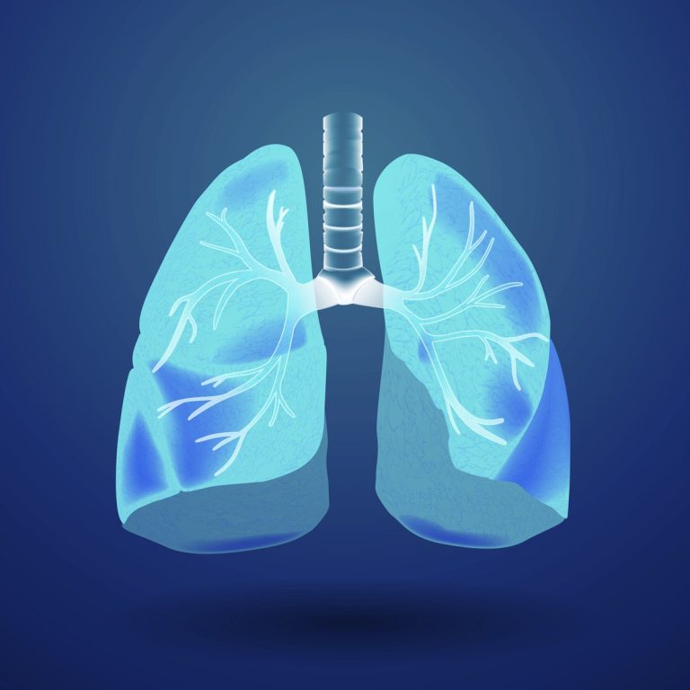 Moduler la composition des lipides pour traiter l’asthme bronchique