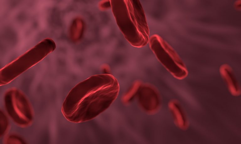 Un modèle de veine sur puce pour mieux comprendre les mécanismes de formation des caillots sanguins