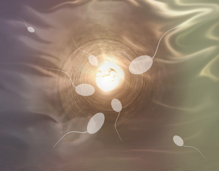 Une nouvelle molécule candidate pourrait devenir un contraceptif masculin non hormonal efficace