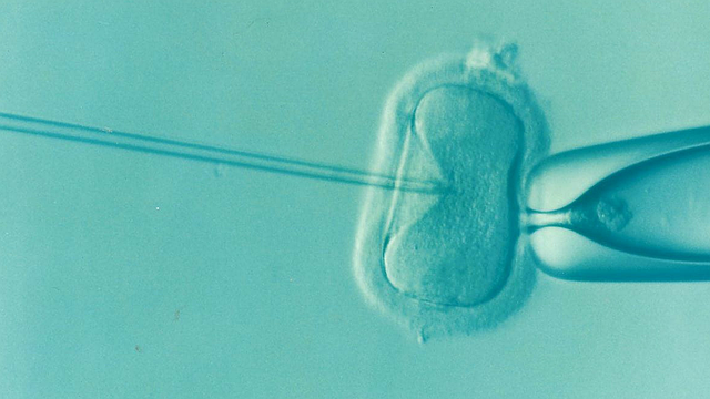 Nouvelle technologie micro-fluidique permet de sélectionner des spermatozoïdes de haute qualité pour assurer le succès de la FIV